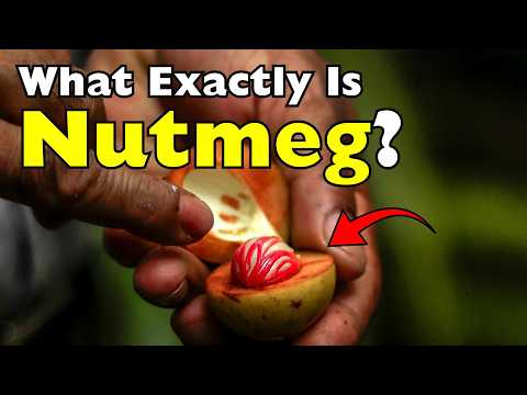 What Exactly Is Nutmeg? It Isn't What You Think