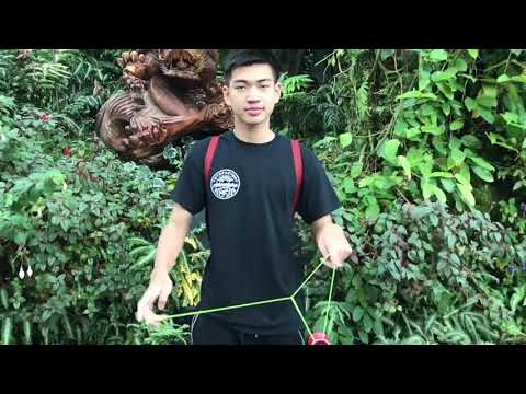 Yo Yo REWIND SPOTLIGHT – Polo Garbkamol