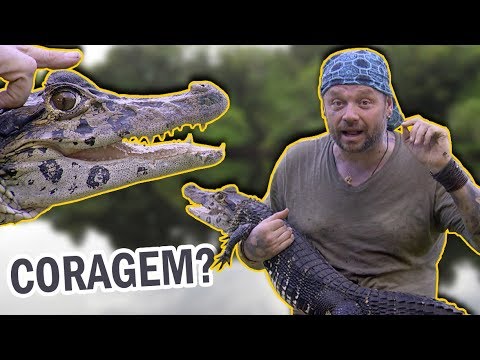 JACARÉ AÇU, O MAIOR JACARÉ DA AMAZÔNIA! | RICHARD RASMUSSEN
