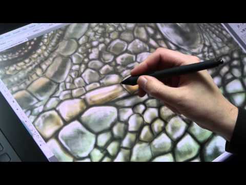 Wacom Cintiq 27 QHD Review und erste Anwendungen