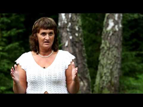 Отзыв "Дидограф F-383-2M", "Фрегат ИС-1", Фермион, Михайленко Надежда