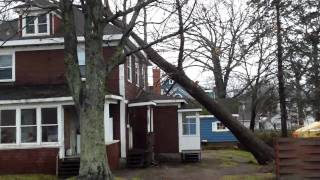 preview picture of video 'Storm Damage in the Annapolis Valley'