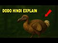DODO BIRD HINDI EXPLANATION DODO BIRD EXTINCTION REASON EXPLAINED SCIENCE AND FACTS FACT
