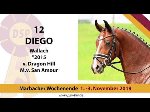 12 Diego v. Dragon Hill - San Amour