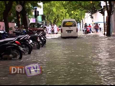 Vissaar Report 30.10.14