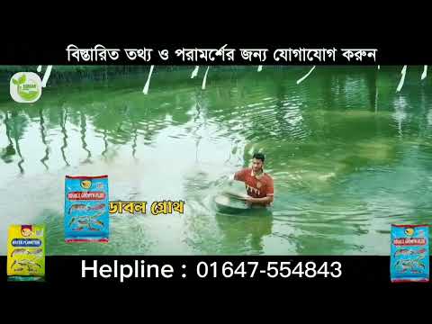 ভিডিও ১