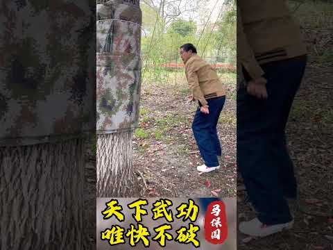 天下武功，唯快不破 #kungfu #健身 #武术 #接化发 #马保国 #funny #点到为止 #生活