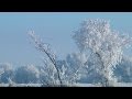 Nature: North Dakota winter
