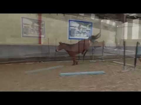 Mare by Urano de cartigny