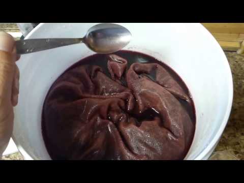 download lagu mp3 mp4 Grape Skin Wine, download lagu Grape Skin Wine gratis, unduh video klip Grape Skin Wine