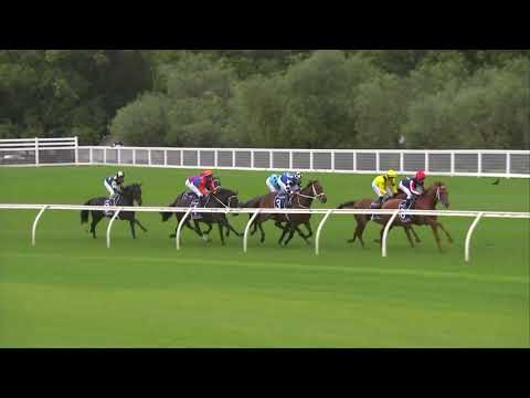 2021 Queen Elizabeth Stakes Tracking Vision