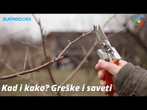 Zimsko orezivanje jabuke - Josip Malnar - 2024