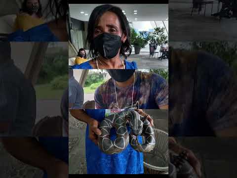 PATRIMONIO VIVO DO ESTADO DO PIAUI