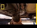 Hidden Drug Search | National Geographic Hidden Drug Search | National Geographic
