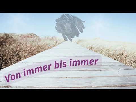 Tierkommunikation mit dem Jenseits – Himmelsgespräch mit einer verstorbenen Hündin