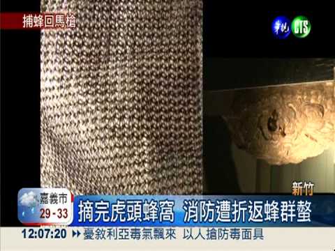 摘完虎頭蜂窩 消防被"蜂"狂攻擊