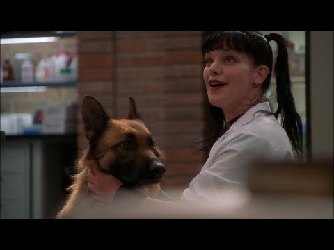 NCIS | Abby| "Who's a good Jethro"