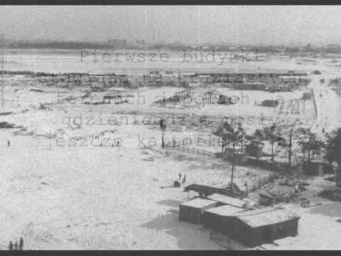 Przymorze - Levik - "Primore Projekt"