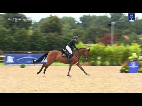 Elite-Auktion beim Holsteiner Verband