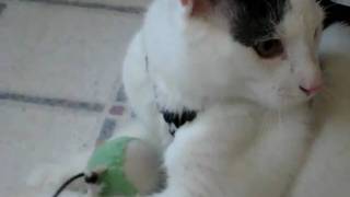 Bones visit G. Grandma