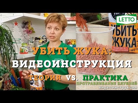 самый простой способ УБИТЬ ЖУКА