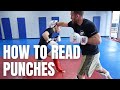 3 Beginner Tips For Reading Punches Improving Head Movement