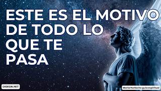 Por Qué de Repente Ya Nada Te Parece Bien (Es Tu Despertar)✨ |DIGEON|