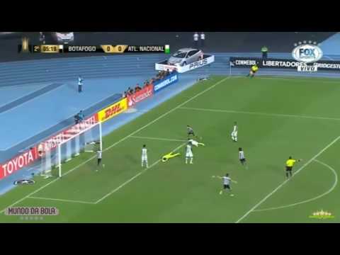 Botafogo 1X0 Atlético Nacional - Gol Do Pimpão