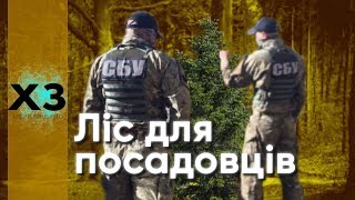 Співробітники СБУ незаконно отримали 22 га лісу під Києвом - ЗМІ