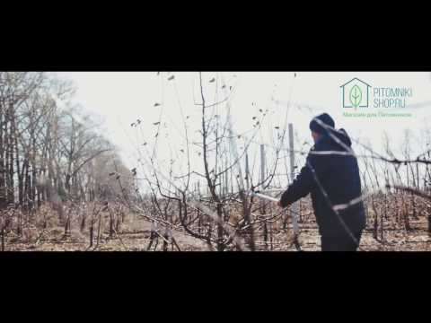 Genėjimo žirklės FELCO 231 video