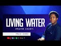 Praiz Singz - Living Water (Prayer Chant) | Visualizer | Lyrics Video