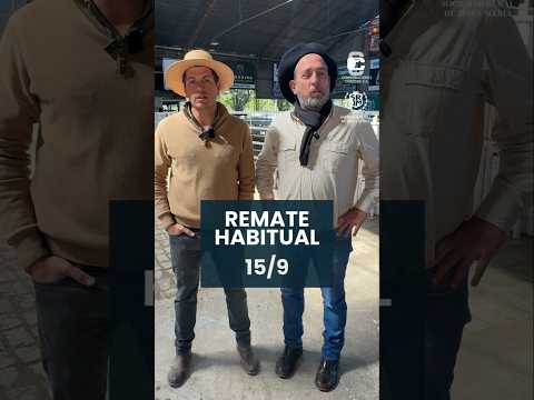 Remate habitual 15/9/2026.
