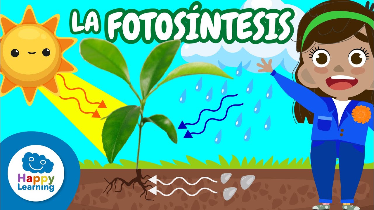 FOTOSÍNTESIS: Cómo las Plantas Producen Su Alimento |Ciencia Divertida para Niños | Happy Learning 📚
