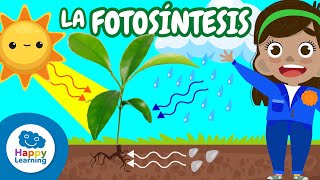 FOTOSÍNTESIS: Cómo las Plantas Producen Su Alimento |Ciencia Divertida para Niños | Happy Learning 📚