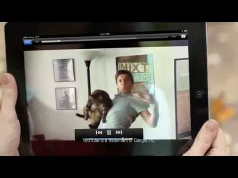 YouTube video about: Can cats have macaroni and cheese?