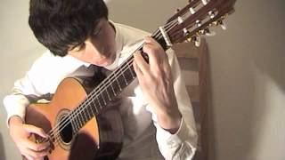 Classical Gas - Mason Williams (Cover by Michael Mulholland)