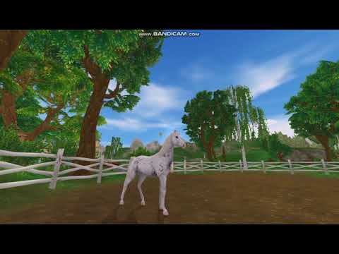 Chody Marwari (ważny opis!)