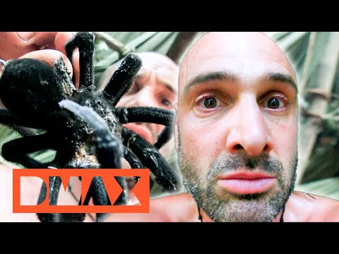 Vergiftungsgefahr: Vogelspinne zum Abendessen | Ed Stafford | DMAX Deutschland