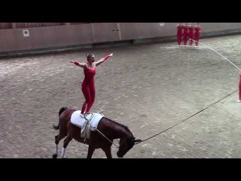 Kategorie S Pflicht CVN Winterthur 2021