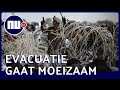 Dit maakt de evacuaties vanaf het vliegveld van Kaboel zo moeilijk | NU.nl