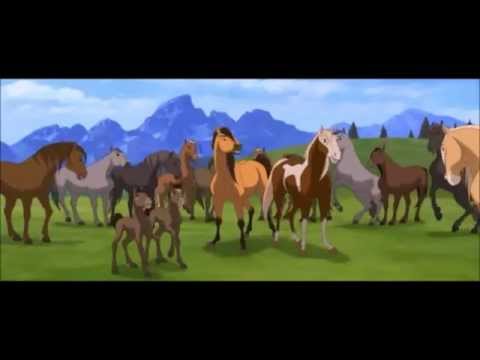 Zucchero - Sempre e per sempre