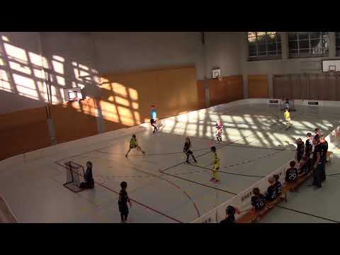 Red Devils vs The Hardsticks Adliswil 24.11.2018