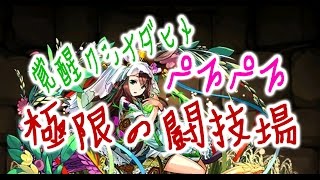 [극한의투기장1] 각성쿠시나다히메PT