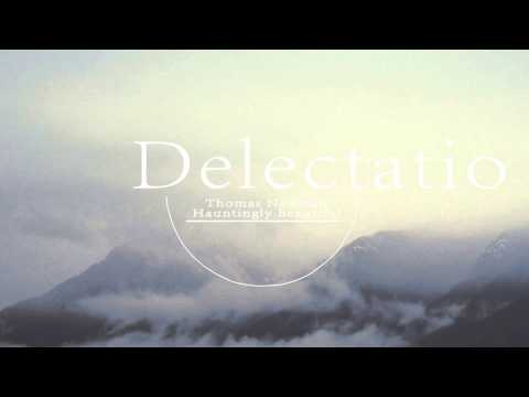 Thomas Newman - Hauntingly Beautiful ( Delectatio Remix )