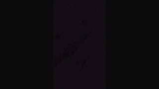 Screeching weasel runaway