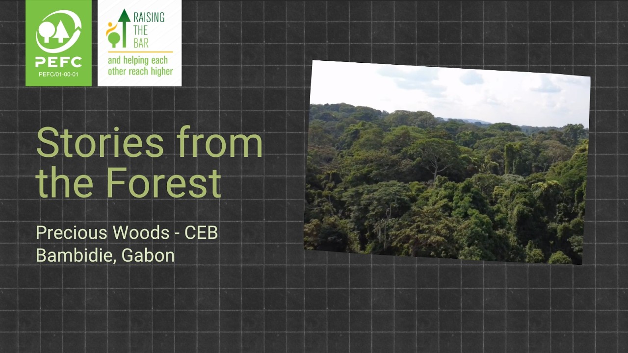 In the forests of Gabon: sustaining forests, supporting communities
