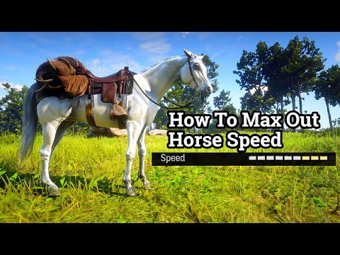 Red Dead Redemption 2 - How To MAX Out Your Horses Speed !!