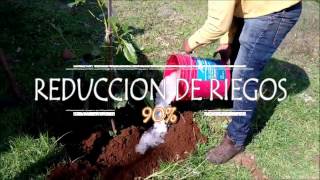 Aplicación en Aguacate | Lluvia Sólida de Michoacán | Huerta Sta. Rita - Los Lobos