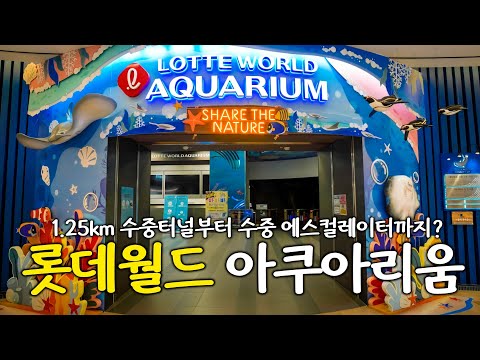 롯데월드 아쿠아리움: 꼭 방문해야 할 수도권 최고의 아쿠아리움