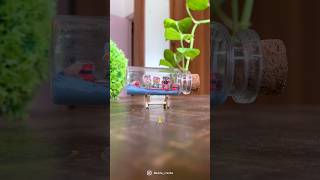 Jai Jaganaath🙏🏻🦚  #jagannath #rathyatra #odisha #artistpainting #artist #miniature #carving #art